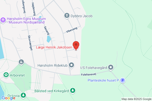 Jakobsen, Henrik