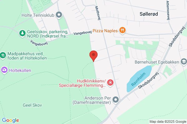FDKI Sikkerhedskort