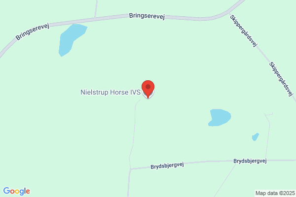 M.B.N. Plantørring