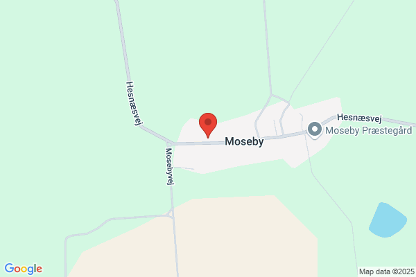 Moseby Antik Og Genbrug