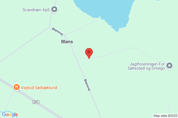 Børresen & Donard I/S