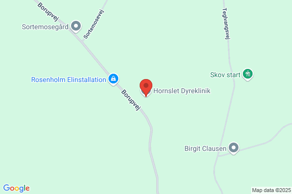 Hornslet Dyreklinik