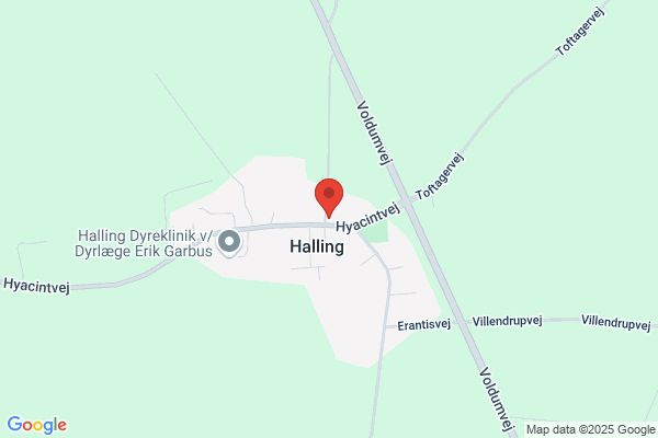Halling forsamlingshus