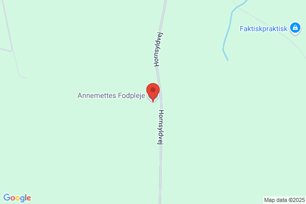 Annemettes Bondegård, "Fuglsang"