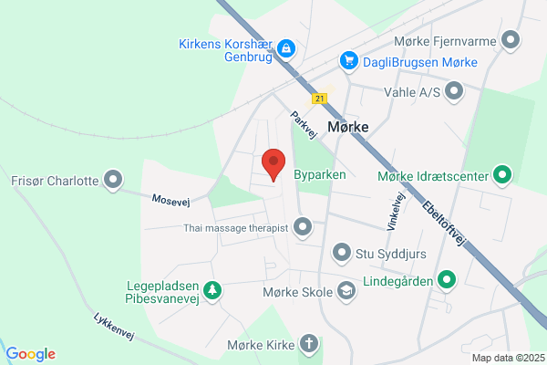 Dansk Folkepartis Lokalforening