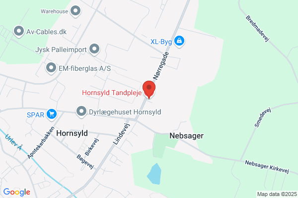 Tandplejen i Hornsyld