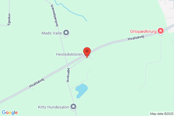 Holmegaard Dyreklinik