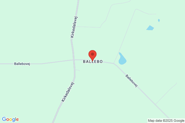 Ballebo Korrespondance & Sprogservice