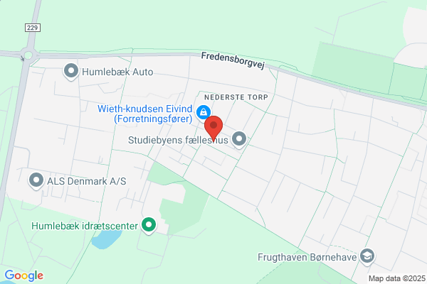 Foghsgaard, Hanne