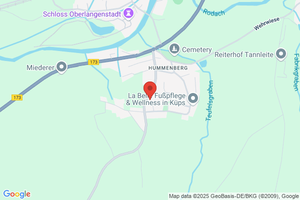 Vogel Nich
