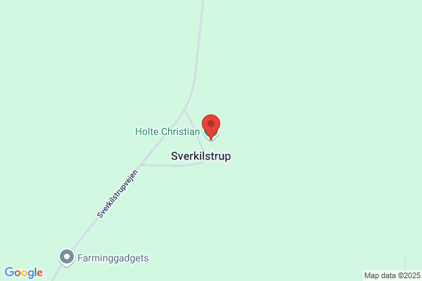 Christiansen, Leo