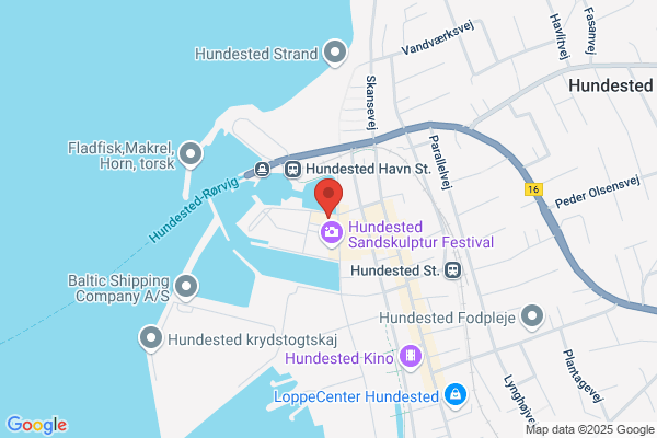 Blå Ansjos Sea Food Take Away Den