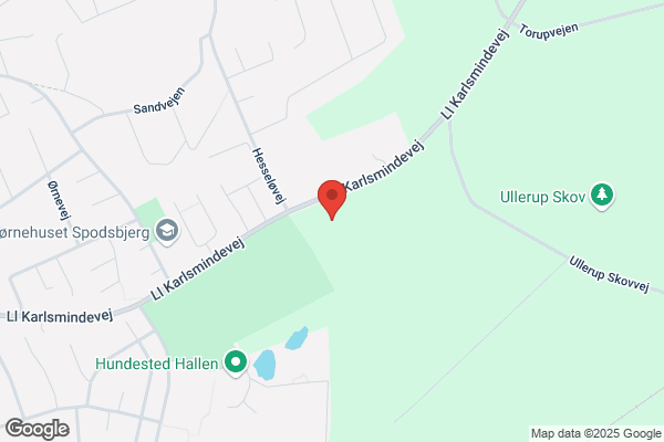 Hundested Rugby Klub, Sælhundene