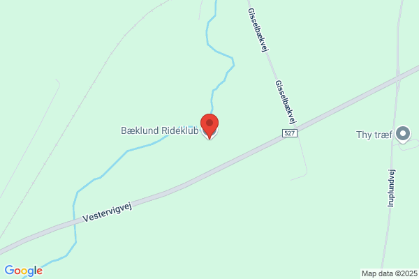 Bilsbæklund Ridecenter (Niels Peder Hansen)