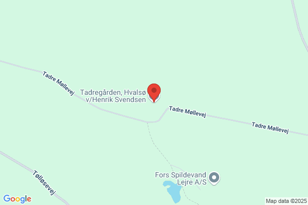 Ældrerådet