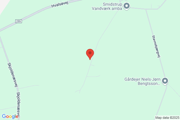 Smidstrup Bylaug