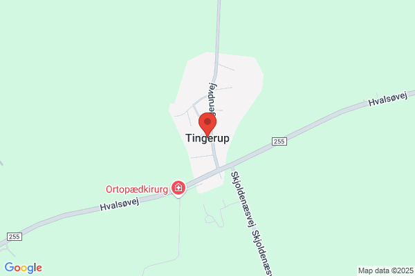 Tingerup Bylaug