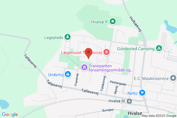 Satelitten