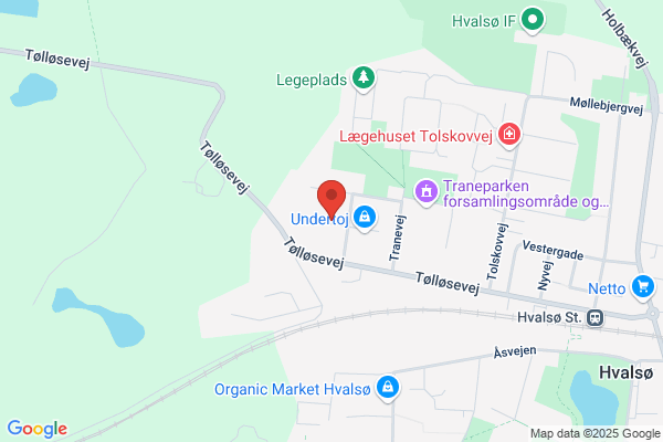 Altzheimerforeningen i Vestsjællands Amt