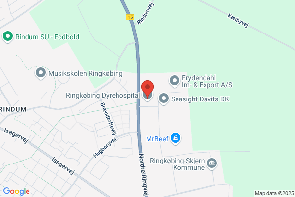 Bülow's Begravelsesforretning, Hanne