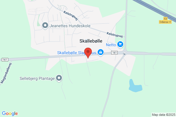 Speziale Biler ApS