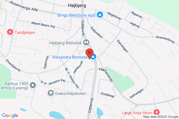 Auto Service Aarhus
