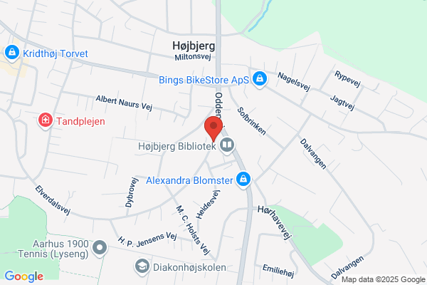 Hansen, Elna