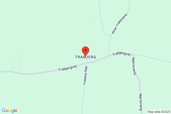 Trabjerg I/S, Tage