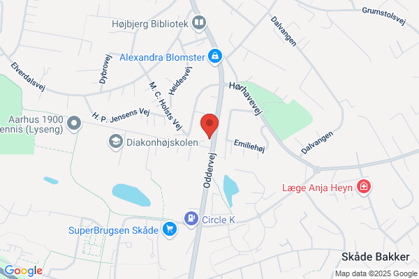 Gamle Græker, Den