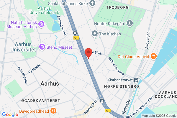 ASV, Aarhus