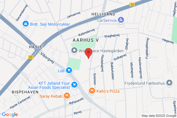 Udspringsklubben Salto, Hasle