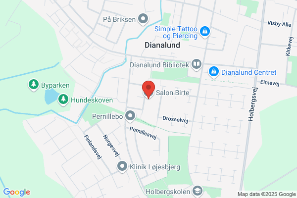 Birte Salon