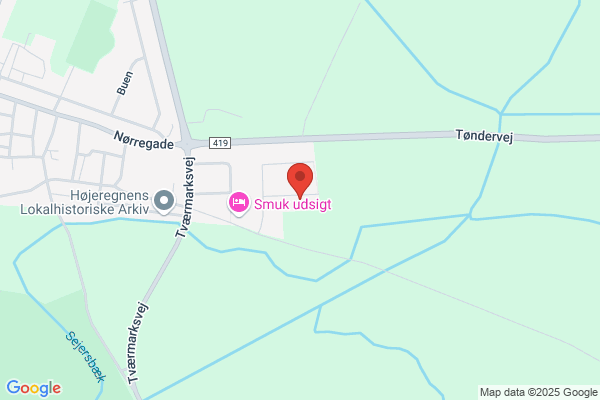 Fonden til bevarelse af Højer Mølle
