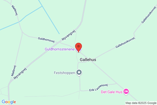 Gallehus Ringriderforening