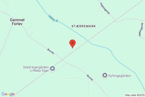 Højer Hjemmeservice