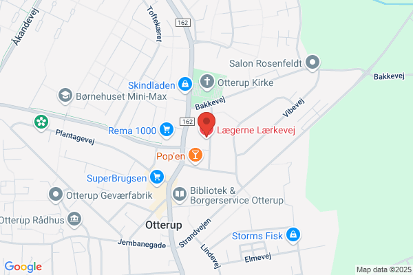 Solsikken