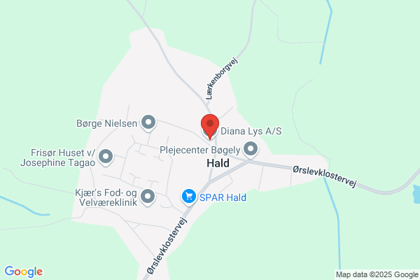 Diana Lys Hald A/S