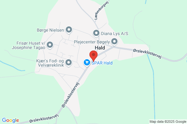 Hald Borger- og Håndværkerforening