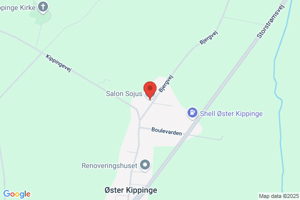Højslev Minisalon