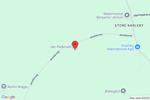 Pedersen, Jane