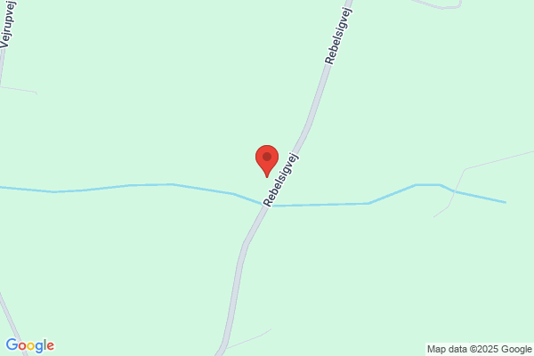 Sørensen Erling