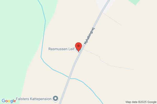 Rasmussen Leif