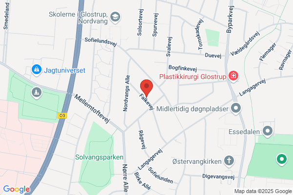 Fysioterapi Klinik for