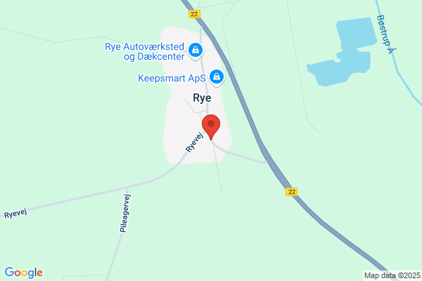 Tømreren fra Rye