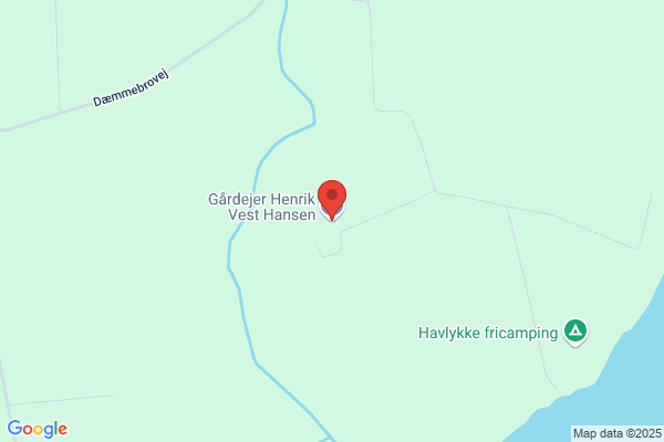 Hansen, Randi