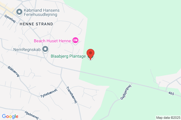 Blaaberg, Jytte