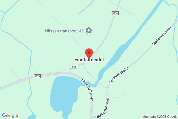 Fjeldsted Finn