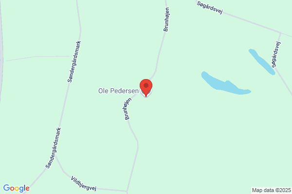 Pedersen Ole Eg