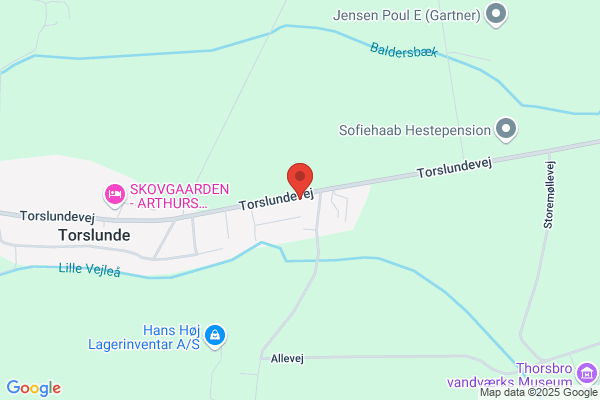 Prøvestenen