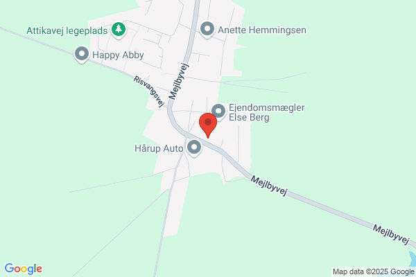 Grønne Maler Den